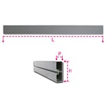 PROFILO ALLUMINIO PARACICLI 100x30